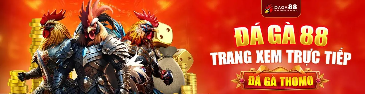 Hình ảnh minh họa chính sách bảo mật dữ liệu và cookie của MMO88 Link Mới